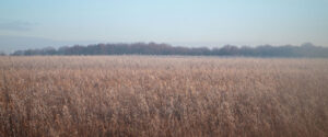 DRS Sustainable Agriculture Horizon